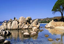 2025开云体育app网页版入口震惊-替补球员菲尔詹德尔远景突然消逝