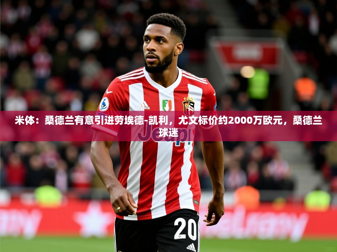 2025开云体育app米体:桑德兰有意引进劳埃德-凯利,尤文标价约2000万欧元,桑德兰球迷 第3张