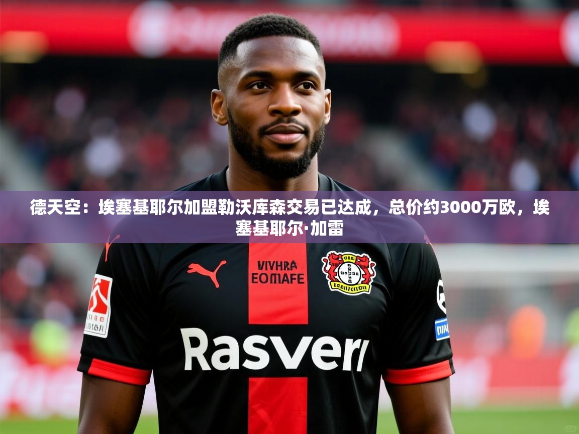 2025开云体育入口德天空：埃塞基耶尔加盟勒沃库森交易已达成，总价约3000万欧，埃塞基耶尔·加雷  第4张